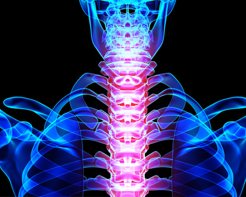 Cervical spine anatomy