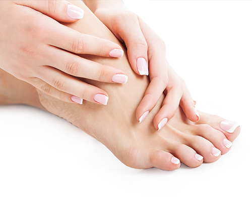 Foot anatomy